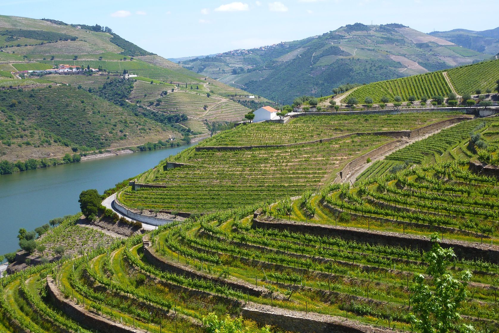 Douro River Cruises - Why is the Douro Valley So Popular?