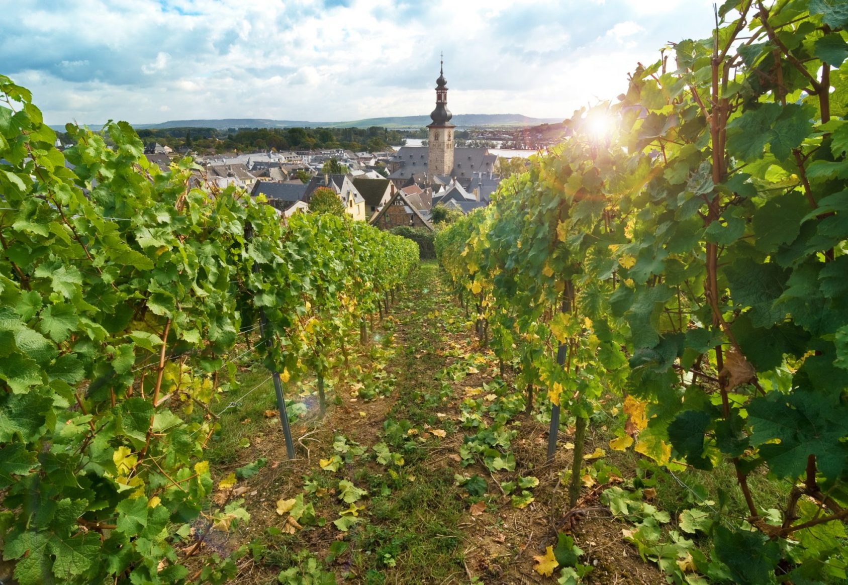 APT Travelmarvel Reflections of the Rhine & Main Main River Cruises