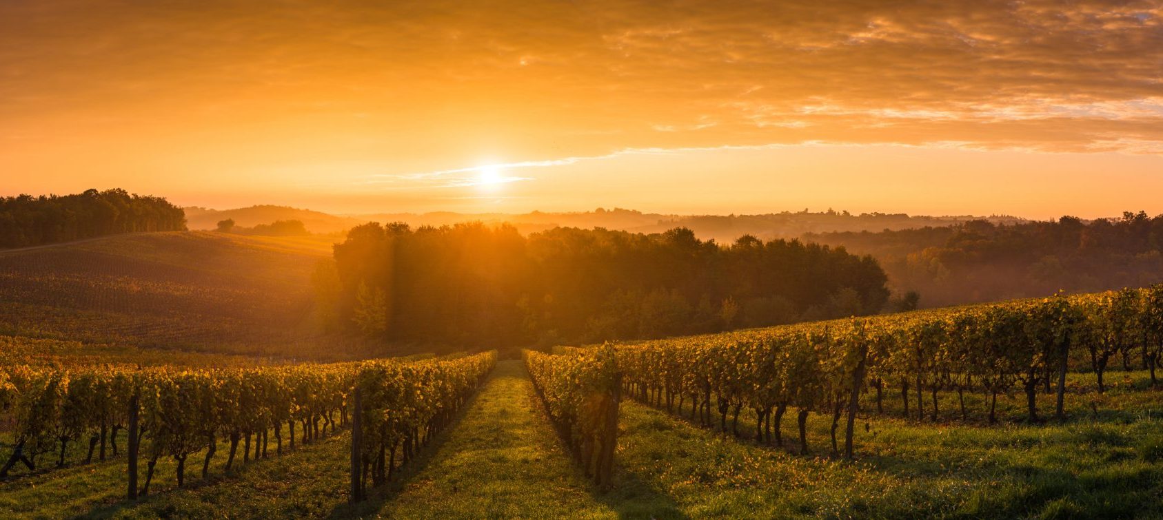 AmaWaterways Taste of Bordeaux | Bordeaux Waterways River Cruises