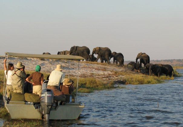 Day 5 - Chobe National Park